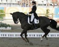 農(nóng)歷馬年雙語送祝福